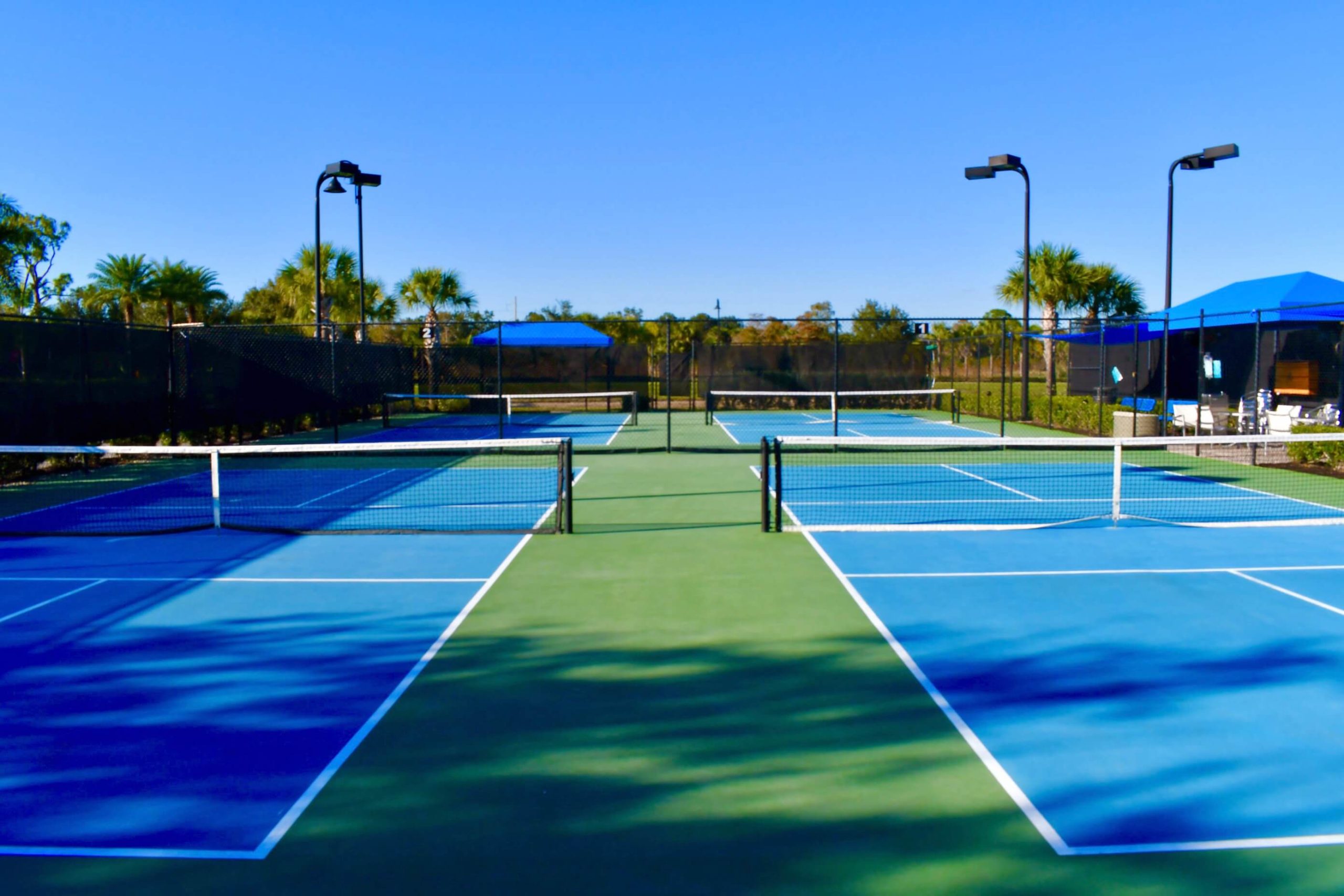 4 Beautiful Pickle ball courts in Winding Cypress